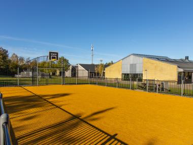 Skolens gule boldbane