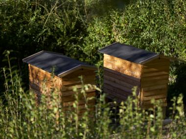 To bistader i grønne omgivelser